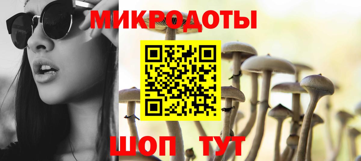 Аша  Галлюциногенные грибы ЛСД  Псилоцибиновые грибы Psilocybe  Вход с VPN 